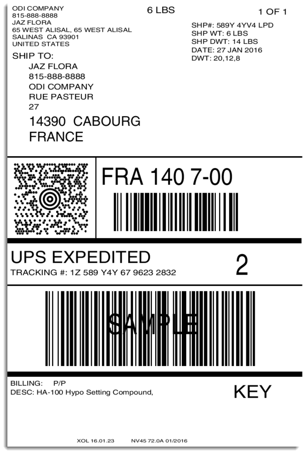 International UPS shipping label