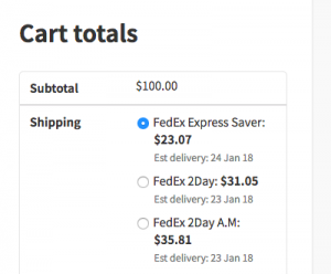 Delivery date in cart page