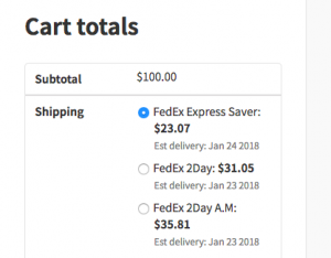 Delivery date in cart page