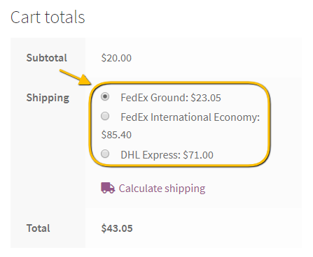 International Shipping Options from FedEx & DHL