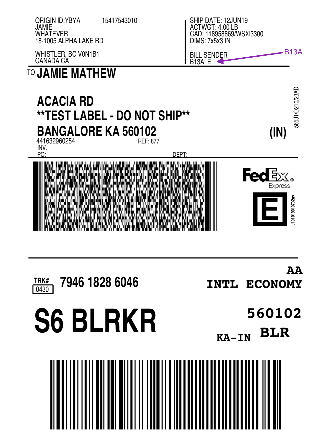 fedex shipping label