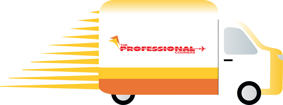 The professional van
