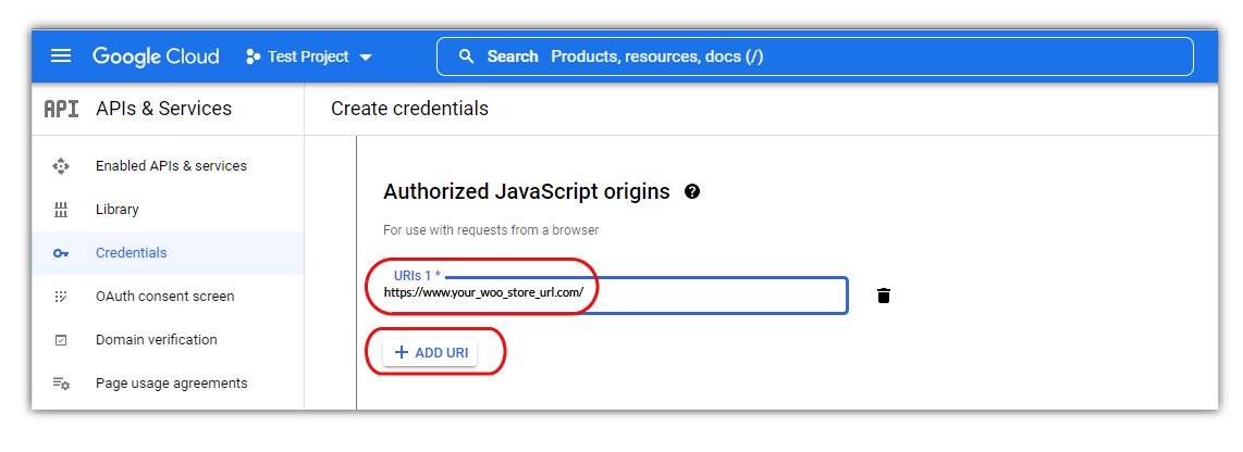 add authorised javascript origins