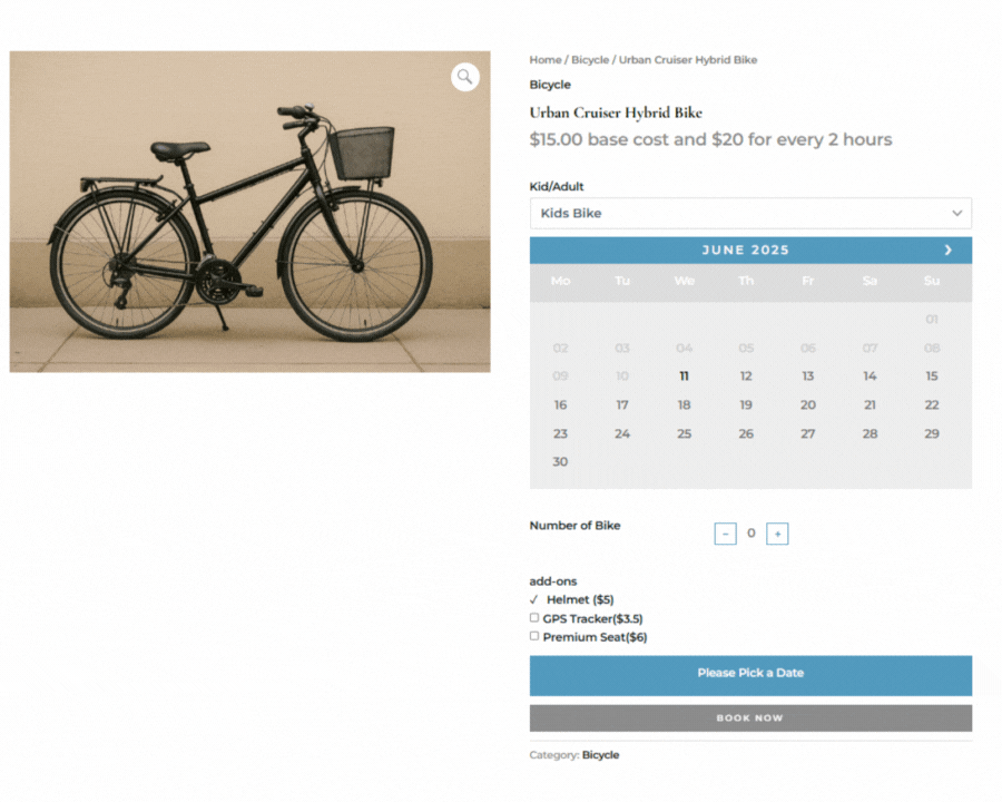 bicycle rental business