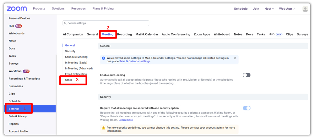 zoom meeting settings