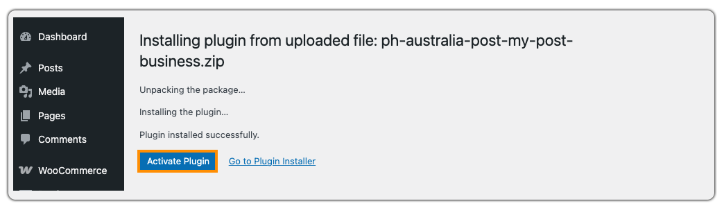 activate the plugin